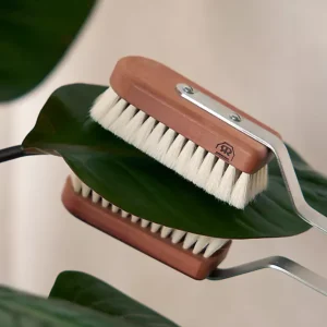 Indoor Plant Brush