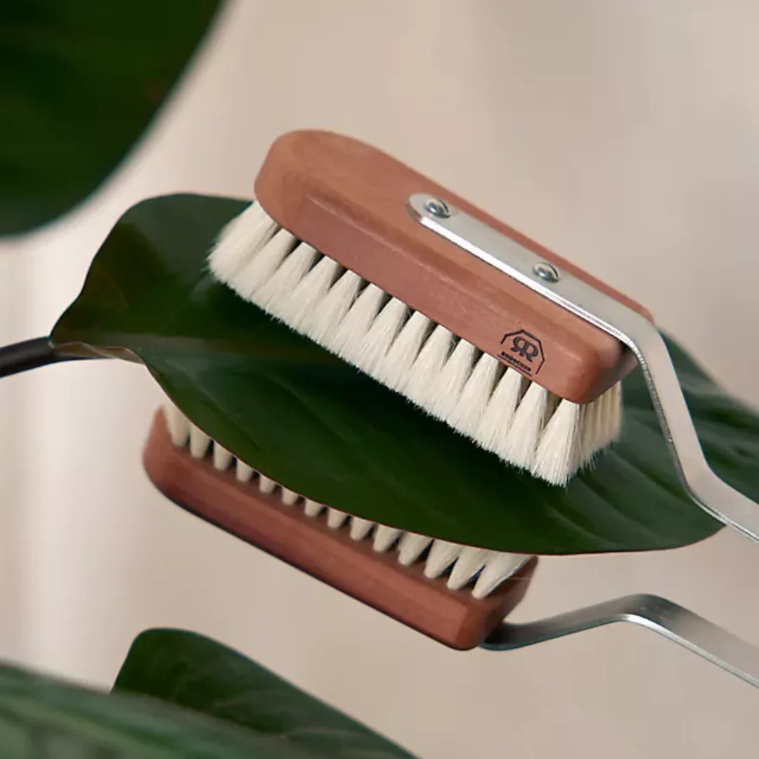 Indoor Plant Brush - Image 2