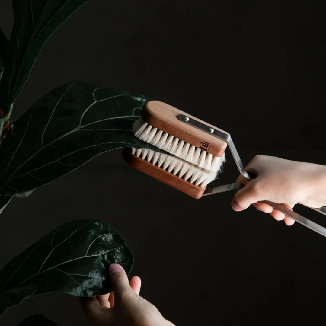 Indoor Plant Brush - Image 3