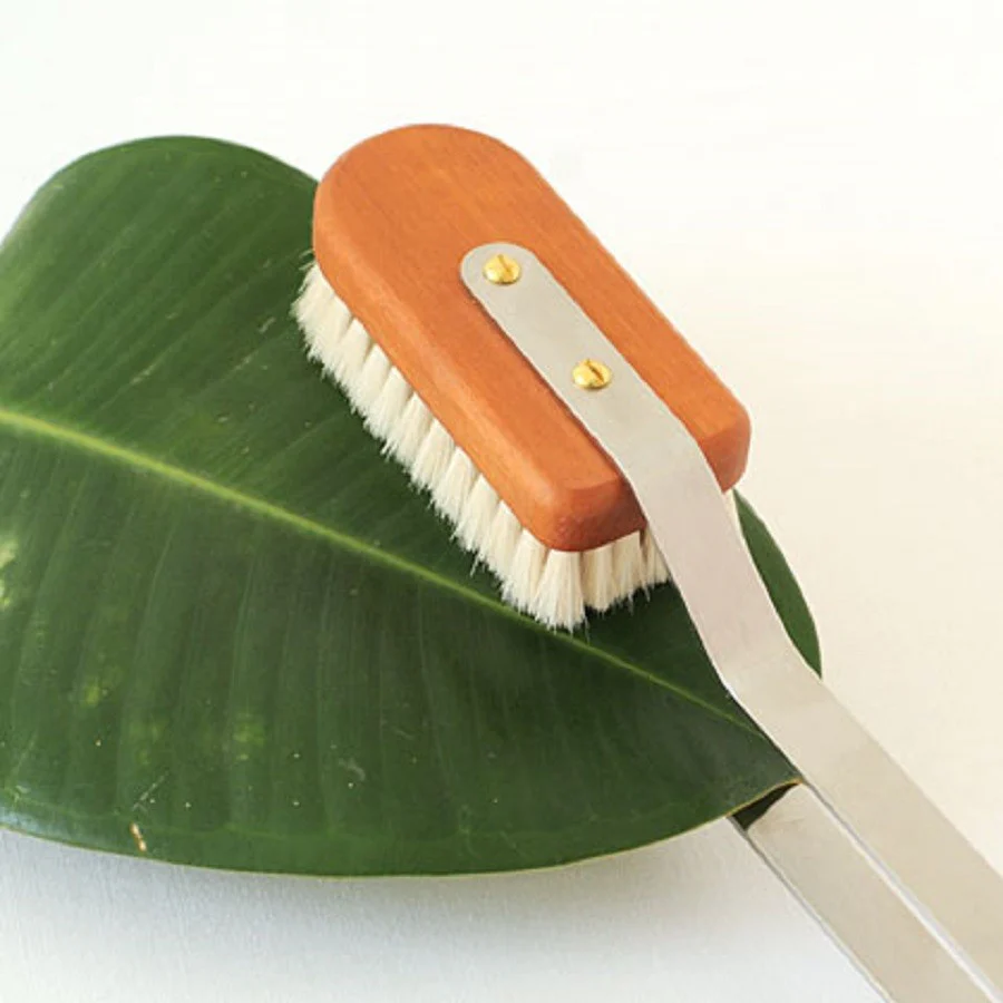 Indoor Plant Brush - Image 6