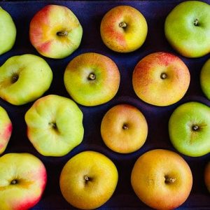 Scott Farm x Milk Street Heirloom Apple Baker’s Box